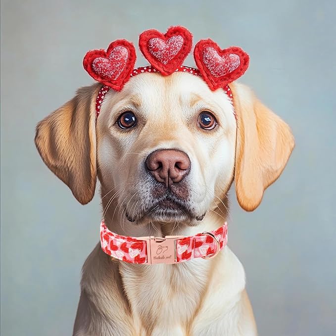 Valentines Dog Collar, Cute Pink Valentine Dog Collars, Doodle Heart Pattern, Adjustable Heavy Duty Pet Collar for Small Medium Large Dogs with Metal Buckle XS