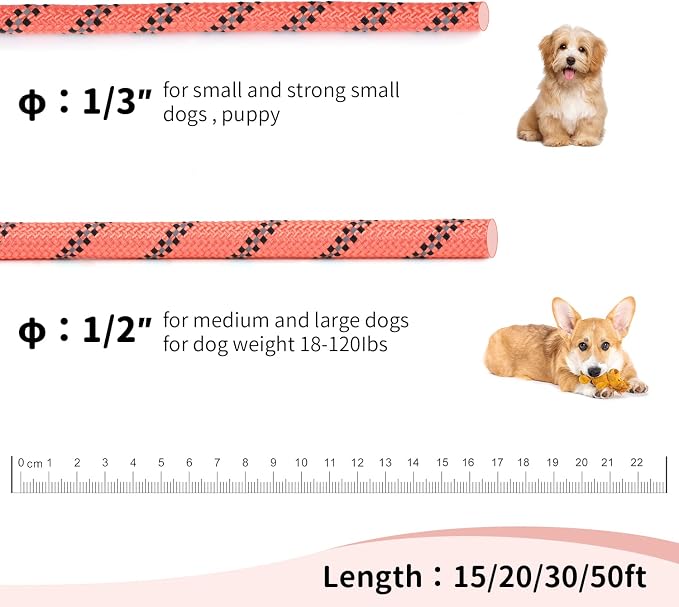 Long Dog Leash for Training 15Ft-Reflective Nylon Rope with Swivel Hook-Recall Agility Lead for Large Small Medium Dogs Outside Walking Hiking-Orange