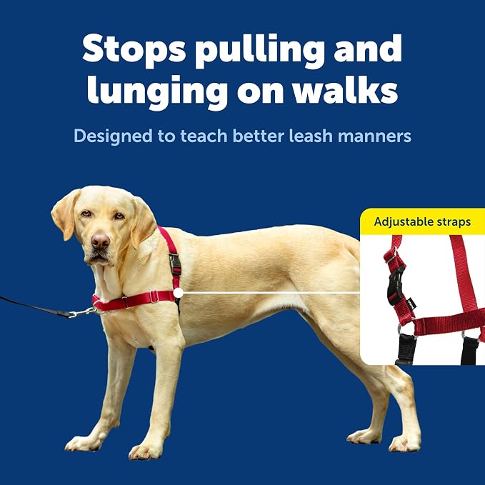 PetSafe Easy Walk No-Pull Dog Harness - Ultimate Harness to Help Stop Pulling - Pull-Free Walks - Take Control & Teach Better Leash Manners - Patented Martingale Loop Design - Red, Large