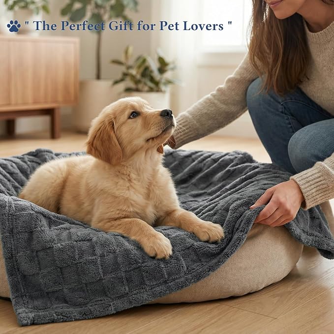 David's Home Large Dog Blankets Washable Pet Bed Cover Twin Size, Soft Fluffy Fuzzy Cat Puppy Blanket with Premium 300GSM Fleece for Pet Kitten Doggy, Dark Grey, 66 * 90"