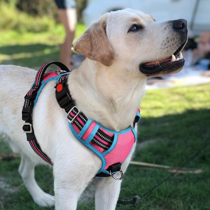 rabbitgoo Dog Harness for Large Dogs, 3 Buckles Easy On & Off No Pull Pet Vest, Soft Padded Walking Pet Harness with Control Handle, Adjustable and Reflective, Rose Pink & Blue, L
