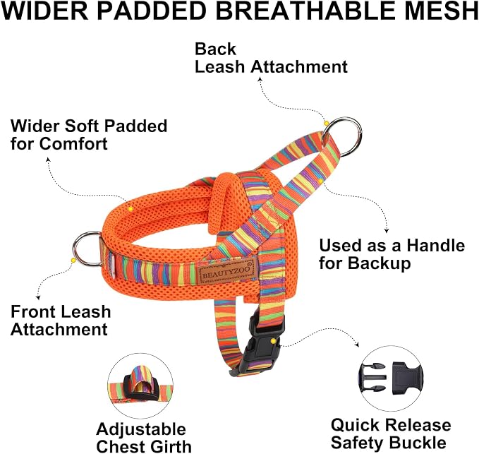 BEAUTYZOO Dog Harness for Small Dogs,No Pull Dog Harness and Leash Set,Soft Breathable Escape Proof Puppy Vest Harnessss with Handle,Lightweight Quick Fit Harness for Girl Boy Dogs Training Walking,XS