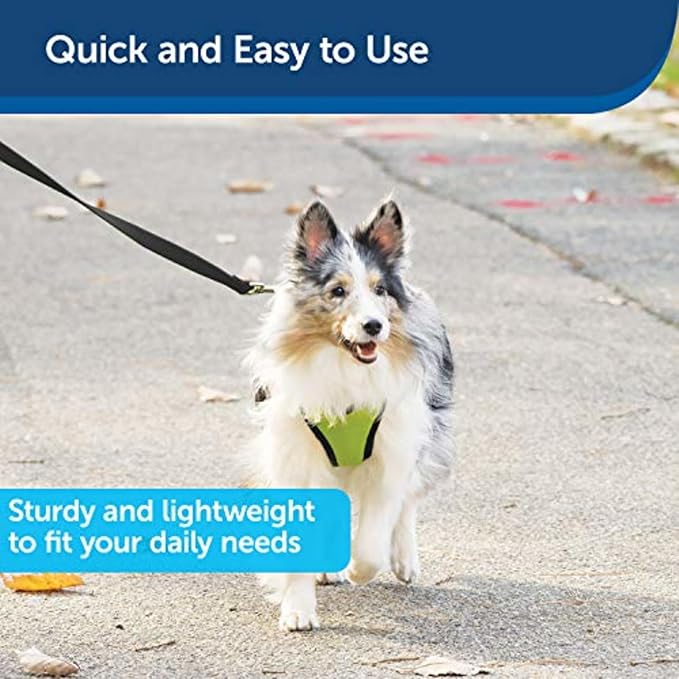 PetSafe Nylon Dog Leash Strong, Durable, Traditional Style Lead with Easy to Use Bolt Snap for Small, Medium and Large Dogs 3/4" x 6', Black