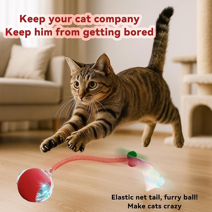 Speedy 2.0 Tail Interactive Cat Toys for Indoor Cats, Automatic Cat Toy with Elastic Mesh Tail, Electric Rolling Ball on Carpet, Chirping and Motion Activate Cat (Red)