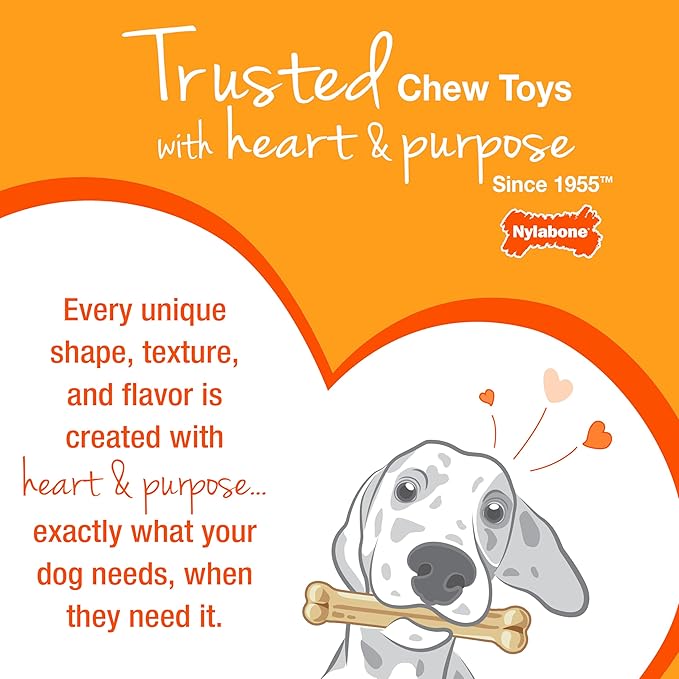 Nylabone Puppy Chew Blue Textured Teething Bone - Chewing Toys for Puppies - Puppy Supplies - Chicken Flavor, X-Small Dogs - Up to 15 Ibs, 1 Count