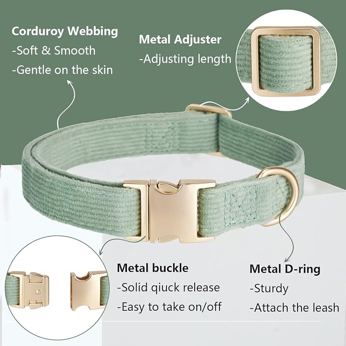 Soft Corduroy Dog Collar and Leash Set Adjustable Durable Dog Collars with Metal Buckle and Lead for Large Dogs,Grass Green