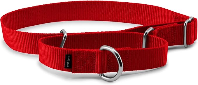 PetSafe Martingale Dog Collar Large, 1 Inch, Red