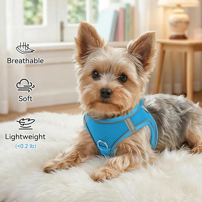 Joytale Small Dog Harness, Breathable Mesh Step-in Vest, Reflective Soft Padded Harnesses for Small and Medium Dogs, Sky Blue, L