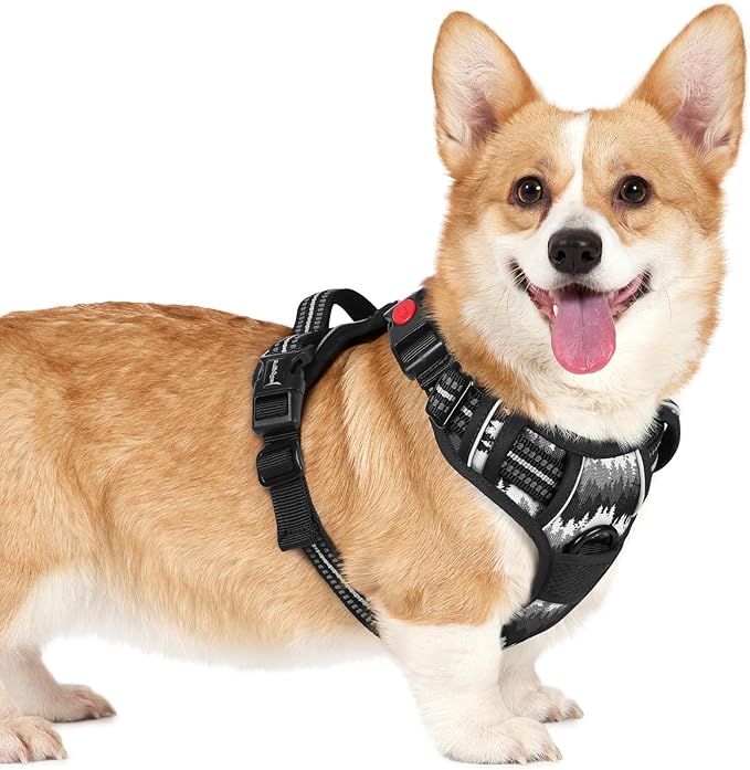 rabbitgoo Dog Harness Small Sized, No Pull Easy On & Off with 3 Buckles Pet Harness, Adjustable Soft Walking Vest with 2 Clips and Handle, Reflective for Small Dogs, Mountain Black, S