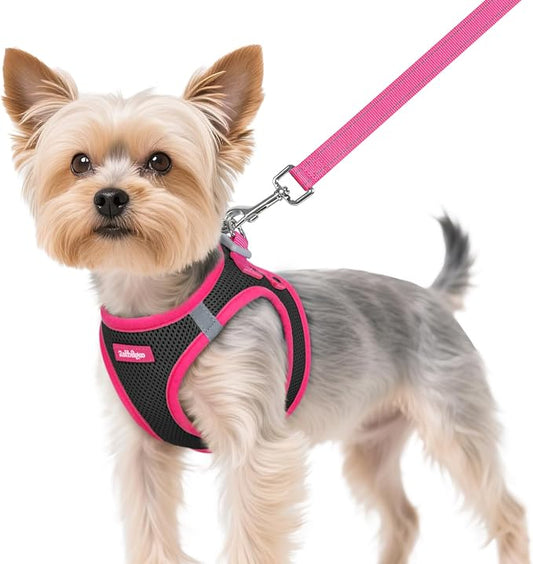 rabbitgoo Dog Harness Small Sized and Leash Set, Step-in Breathable Pet Harness, Soft Walking Reflective Puppy Vest for Small Dogs, Black & Rose Red, XS