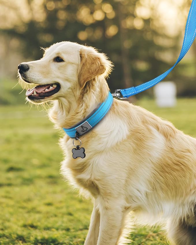 Joytale Dog Collar for Large Dogs, Neoprene Padded and Adjustable, Reflective Wide Heavy Duty Pet Collars with Durable Metal Belt Buckle for Walking, Sky Blue, L
