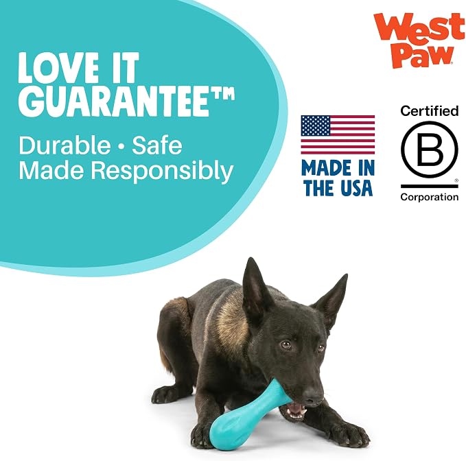 WEST PAW Zogoflex Hurley Dog Bone Chew Toy – Floatable Pet Toys for Aggressive Chewers, Catch, Fetch – Bright-Colored Bones for Dogs – Recyclable, Dishwasher-Safe, Non-Toxic, Large, Teal