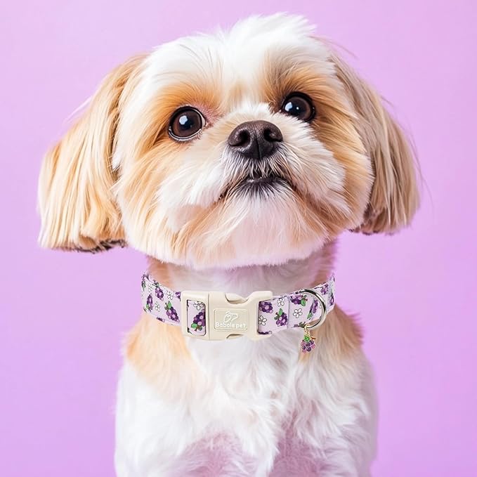 Summer Dog Collar Cute Grape Dog Collars for Medium Dogs - Lightweight Adjustable Boy Girl Dogs Everyday Collar with Quick Release Buckle M