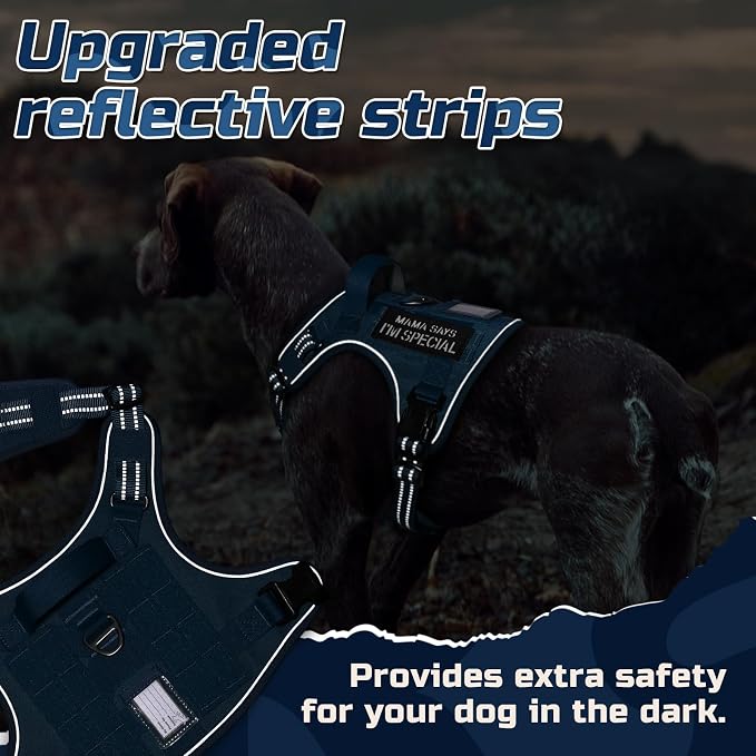 rabbitgoo Tactical Dog Harness for Large Dogs, No Pull Military Service Vest with Handle & Molle, Easy Control for Training Walking, Adjustable Reflective Straps, Blue, L