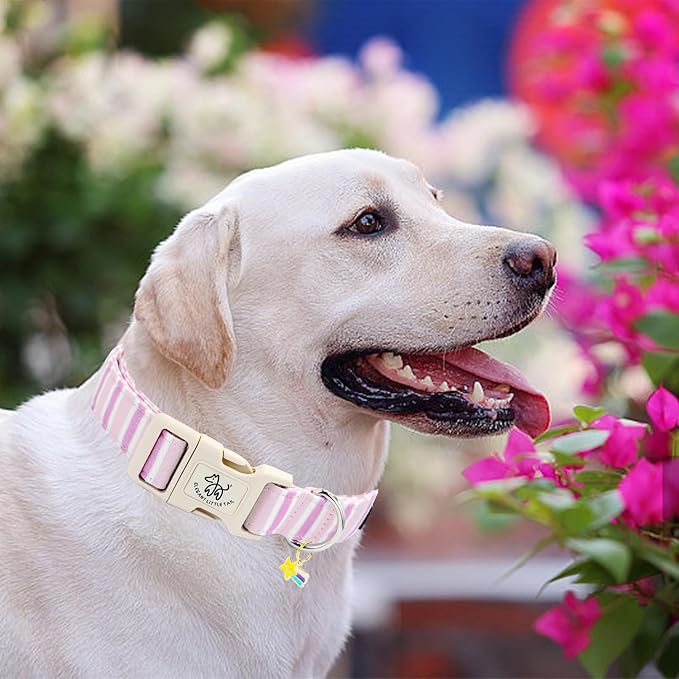 Elegant little tail Dog Collar, Cute Pink Strip Pattern Pet Collars Soft Girl or Boy Adjustable Cotton Puppy Collar with Quick Release Buckle for Medium Dogs