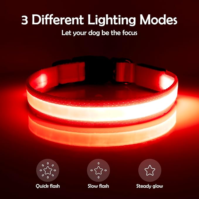 Vizpet LED Dog Collar, Light Up Dog Collar Adjustable USB Rechargeable Super Bright Safety Light Glowing Collars for Dogs(Small,Red)