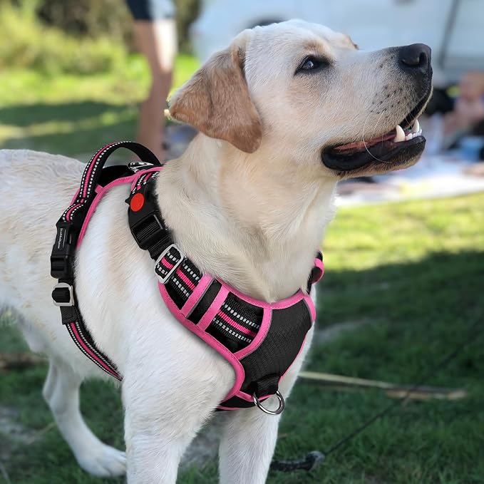 rabbitgoo Dog Harness for Large Dogs, 3 Buckles Easy On & Off No Pull Pet Vest, Soft Padded Walking Pet Harness with Control Handle, Adjustable and Reflective, Black & Rose Pink, L