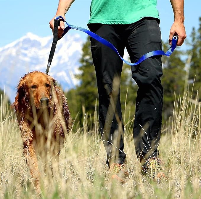 Leash Boss Original - Heavy Duty Dog Leash for Large Dogs - No Pull Double Handle Training Lead for Walking Big Dogs - Dog Leashes with Padded Handle for Control and Safety (Blue)