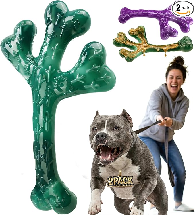Frienhund 2 Pack Indestructible Dog Chew Toys for Aggressive Chewers - Textured Cactus with Grooves for Peanut Butter & Yogurt, Beef Nylon Bones for Large Dogs 20-90 lbs, Easy Chew & Long Lasting
