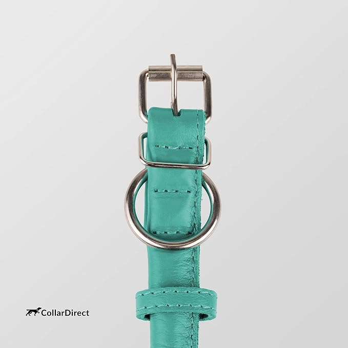 CollarDirect Rolled Leather Dog Collar, Soft Padded Round Puppy Collar, Handmade Genuine Leather Collar Dog Small Large Cat Collars 13 Colors (15-19 Inch, Mint Green Textured)