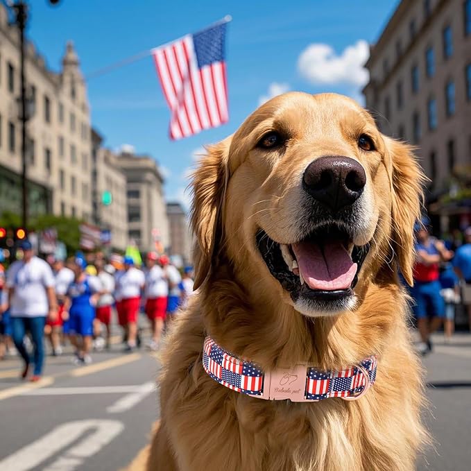 4th of July Dog Collar - US Flag Patriotic Dog Collars for Puppy & Tiny Dogs, Adjustable Independence Day Stars & Stripes American Flag Collar XS