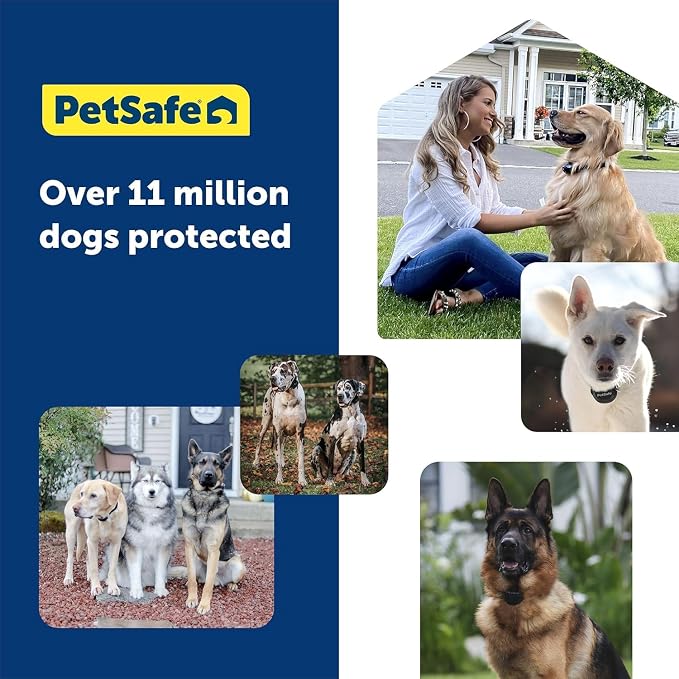 PetSafe Guardian GPS 2.0 Dog Fence + Tracking Wireless Dog Fence with Reliable Dual Frequency GPS Tracking Smaller Collar for All Breeds 10 lbs and Above Subscription Required