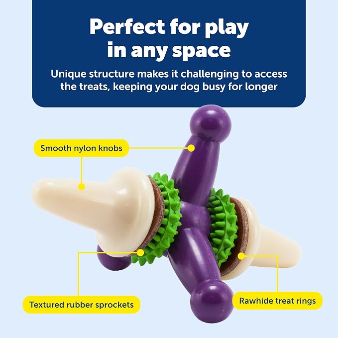 PetSafe Busy Buddy Jack - Treat Holding Dog Chew Toys - Helps Clean Teeth - Vanilla Scented Rubber for Strong Chewers - Treat Refills Included - Interactive Dog Toy Keeps Dogs Busy - Purple, Large