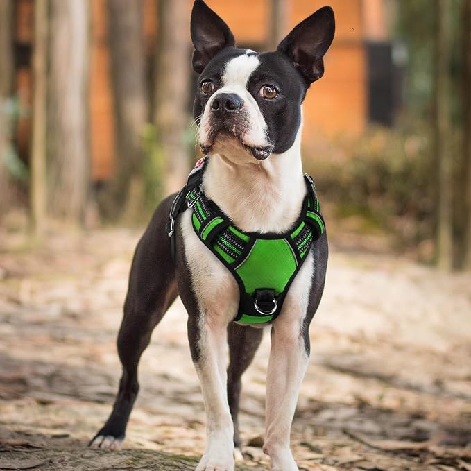 rabbitgoo Dog Harness Small Sized, 3 Buckles Easy On & Off No Pull Pet Vest, Soft Padded Walking Pet Harness with Control Handle, Adjustable and Reflective, Green, S