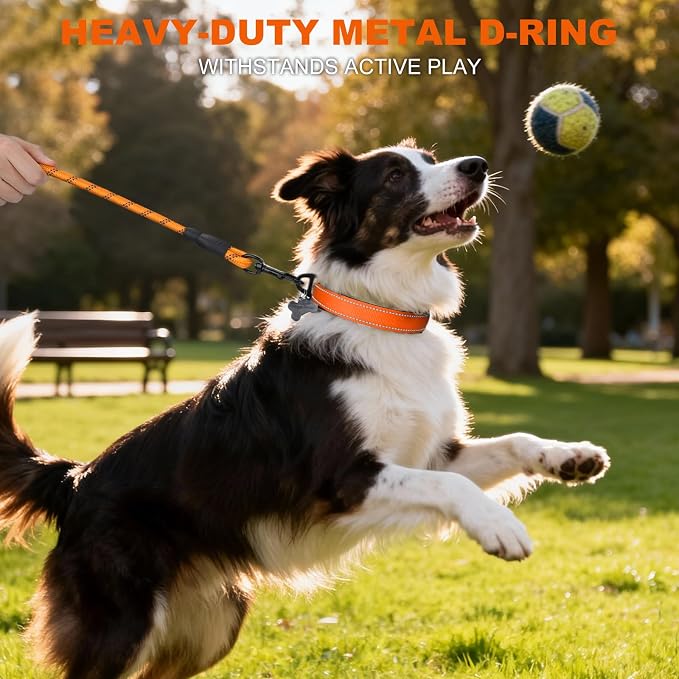 Taglory Reflective Dog Collar for Medium Dogs, Soft Neoprene Padded with Escape-Proof Locking Buckle, Upgraded Zinc Alloy Ring, Adjustable for Walking Female Male, Orange,M