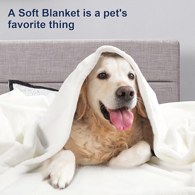 DREAMNINE Pack of 21 Fuzzy Soft Fleece Throw Blanket for Couch Sofa 50" x 60", Decorative Solid Lightweight Velvet Blankets for Chair, Cozy Accent Shaggy Plush Flannel Blanket for Bedroom, White