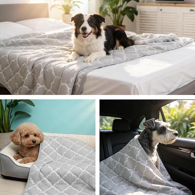 EXPAWLORER Dog Cooling Blanket - Washable Dog Cool Throw Blanket,Soft Lightweight Cooling Mat for Bed Cover, Extra Large Summer Soft Pet Pad for Large Dogs Puppy Cat,40"x60"