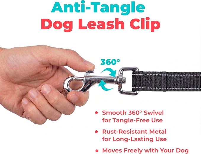 Best Pet Supplies Voyager Reflective Dog Leash or Collar with Neoprene Handle, for Small, Medium, and Large Breed Puppies, Cute and Heavy Duty for Walking, Running and Training - Black (Leash), S