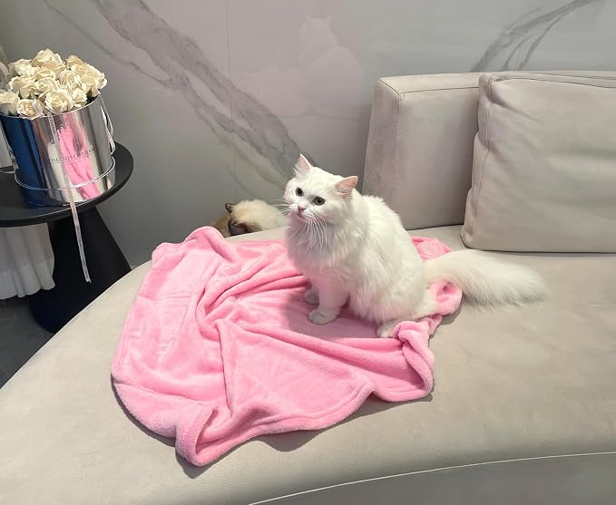 iMaylex Soft Puppy Flannel Fleece Blanket for Pet Dog Cat, Plush Microfiber, Cozy and Lightweight, Light Pink, Pet, 19 x 27 inch (50 x 70 cm)