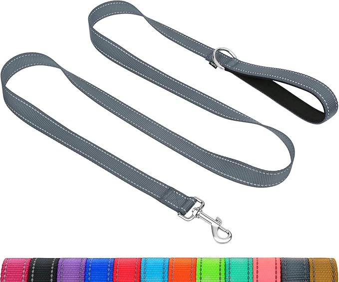 Taglory Dog Leash for Medium Large Dogs, Double-Sided Reflective for Night Walking, Neoprene Padded Handle, 1 inch by 6 ft, Heavy Duty for Medium Large Breeds 20-150 lbs, Grey