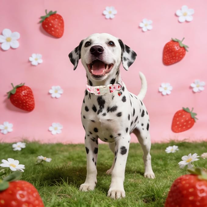 Maca Bates Spring Pink Basic Dog Collar with Cute Strawberry Charm for Extra Large Girl Boy Dogs, Strawberries Pattern,Pretty Gift Adjustable Durable Soft Collars for Male Female Puppy