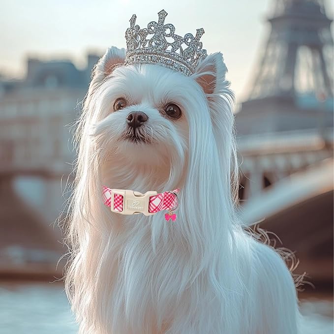 Girl Dog Collar, Bright Pink Glen Check Dog Collars for Medium Dogs - Cute Spring Summer Plaid Pup Collar, Soft Adjustable Female Dog Collars with Quick Release Buckle M
