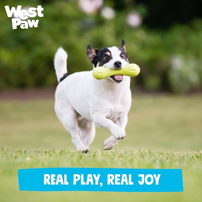 WEST PAW Zogoflex Hurley Dog Bone Chew Toy – Floatable Pet Toys for Aggressive Chewers, Catch, Fetch – Bright-Colored Bones for Dogs – Recyclable, Dishwasher-Safe, Non-Toxic, Large, Tangerine