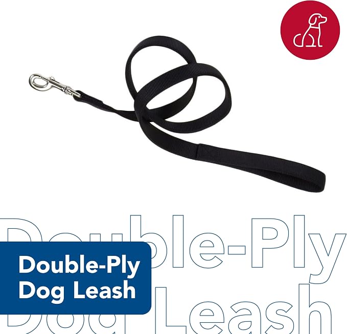 Coastal Pet Double-Ply Dog Leash - Bolt Snap Attachment to Collars and Harnesses - Nylon Dog Walking Leash for Small, Medium and Large Dogs - Pink Bright - 1" x 6'