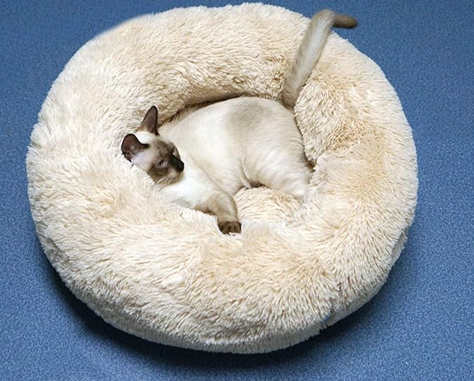 Modern Soft Plush Round Pet Bed for Cats or Small Dogs, Mini Medium Sized Dog Cat Bed Self Warming Autumn Winter Indoor Snooze Sleeping Cozy Kitty Teddy Kennel (24'' D x 8'' H, Champagne)