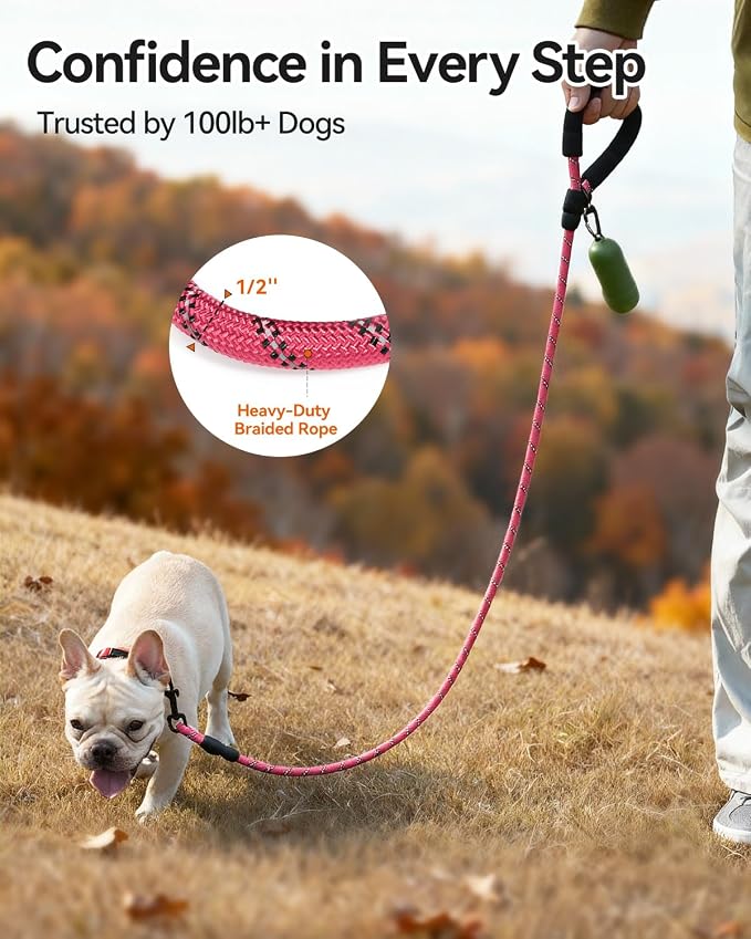 Joytale Dog Leash for Small Dogs, Heavy Duty Nylon Leashes with Comfortable Padded Handle and Highly Reflective Threads, Ideal for Walking and Training, Pink, 6'×3/8''
