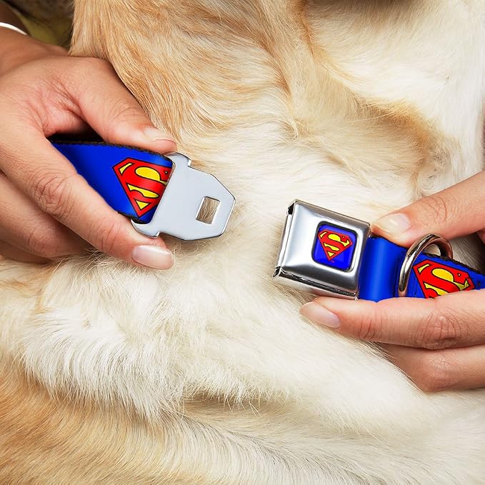 Dog Collar Seatbelt Buckle Superman Shield Blue 13 to 18 Inches 1.5 Inch Wide