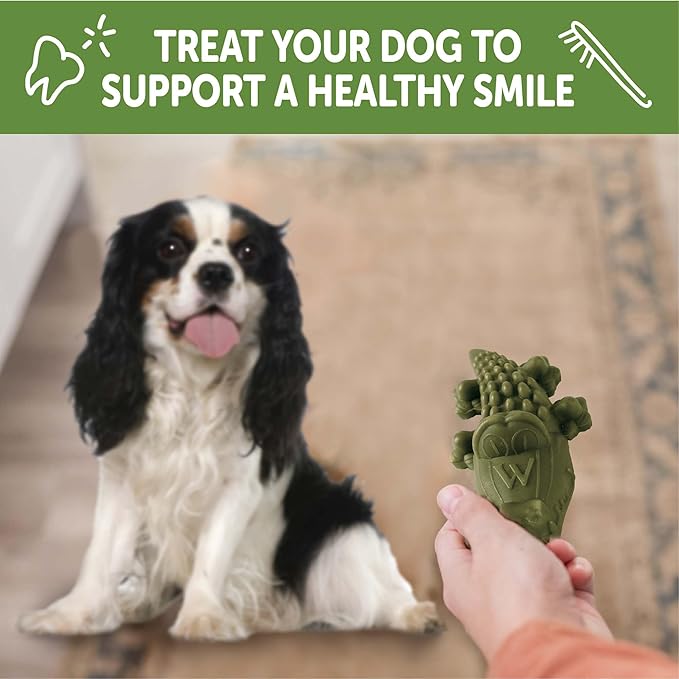 Whimzees Wellness Alligator Natural Dog Dental Treat, Chews, Freshens Breath, Small Size, 12.7 oz Bag, 24 Count