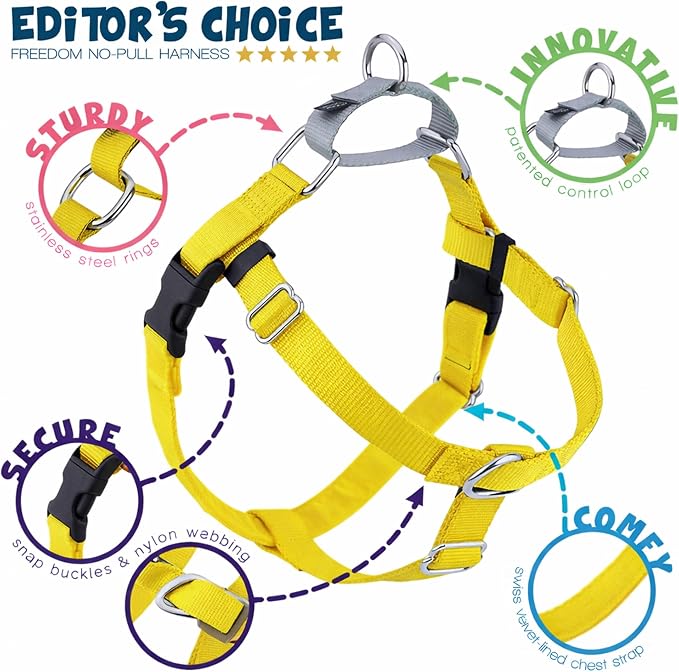 2 Hounds Design Freedom No Pull Dog Harness, Adjustable Harness, Easy Walking & Comfortable Control, Fits Small, Medium & Large Dogs, Solid Colors, Made in USA, 1" XL, Yellow