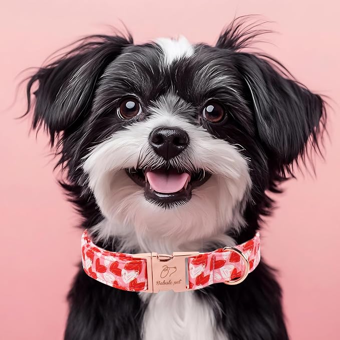 Valentines Dog Collar, Cute Pink Valentine Dog Collars, Doodle Heart Pattern, Adjustable Heavy Duty Pet Collar for Small Medium Large Dogs with Metal Buckle XS
