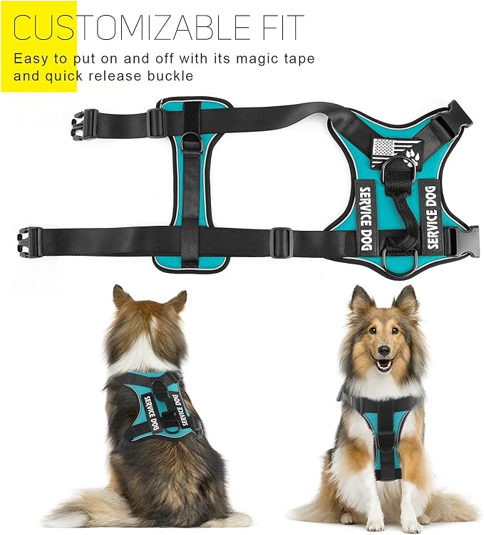 Service Dog Harness, Reflective Dog Vest Harness with 5 PCS Patches, Adjustable Soft Oxford Pet Harness, Inner Layer Mesh, Easy to Control for Dogs