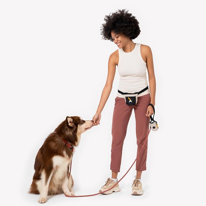 OllyDog, Goodie Treat Bag, Dog Treat Training Pouch | Magnetic Closure | 3 Ways to Wear | Hands-Free Waist Belt | Water-Resistant Recycled Vegan Fabric (Con Leche)