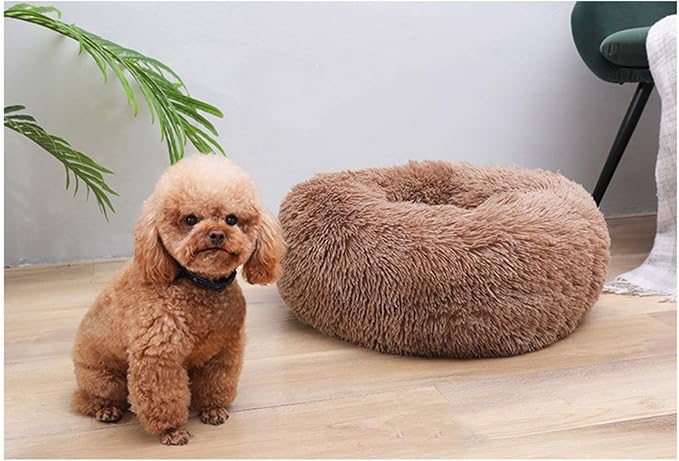 Modern Soft Plush Round Pet Bed for Cats or Small Dogs, Mini Medium Sized Dog Cat Bed Self Warming Autumn Winter Indoor Snooze Sleeping Cozy Kitty Teddy Kennel (20'' D x 8'' H, Coffee)