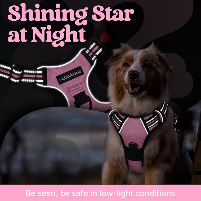 rabbitgoo Dog Harness Small Sized, 3 Buckles Easy On & Off No Pull Pet Vest, Soft Padded Walking Pet Harness with Control Handle, Adjustable and Reflective, Light Pink, S