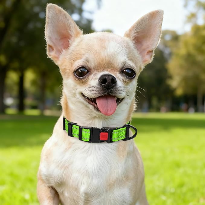 Taglory Reflective Dog Collar for Puppies with Escape-Proof Locking Buckle, Soft Neoprene Padded and Upgraded Zinc Alloy Ring, Adjustable for Chihuahua Yorkie, Green,XS