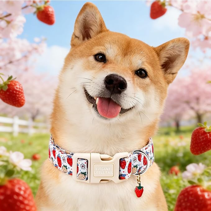 Elegant Little Tail Summer Dog Collar, Cute Pink Strawberry Pattern Soft Cotton Pet Collars with Sturdy Quick Release Buckle Female or Male Adjustable Pet Collar for X-Small Puppy